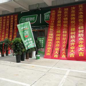 乐达金马三棵树防水美缝头像