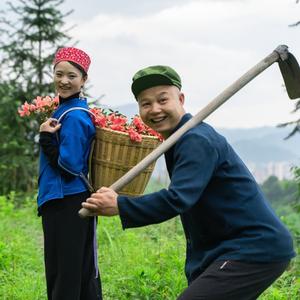 毛辣果村头像