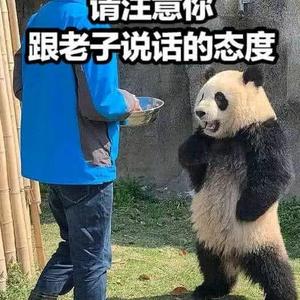 极客沧州4U5头像