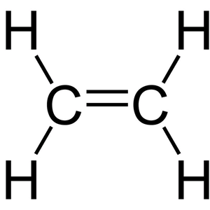 CH₂=CH₂头像