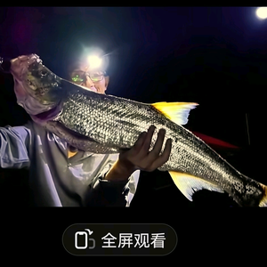 华木公游钓头像