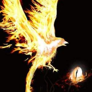 浊眼观天下 头像