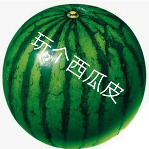 哲学洋葱头像