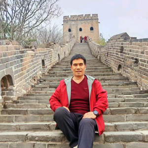 一片绿叶头像