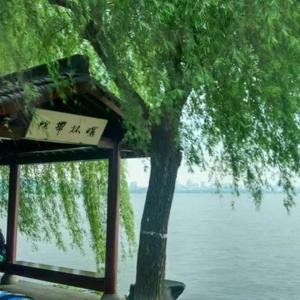 老榆树6610头像