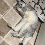 艾米吧吧吧吧吧吧头像