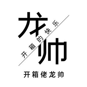 龙帅帅帅开箱头像