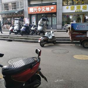 难得湖涂发哥头像