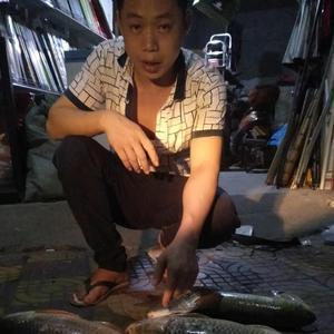 佳强钓具头像