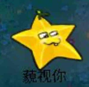 莫得技术的龙猫头像