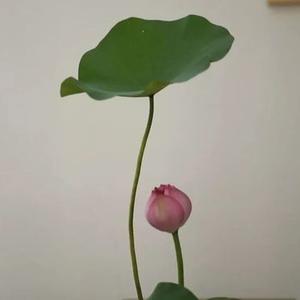 读与阅者头像