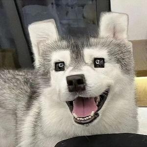 傅小柒影娱头像