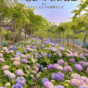 pz小辣妹头像
