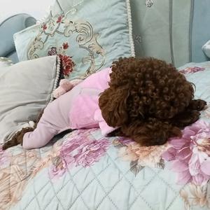 小秦王头像