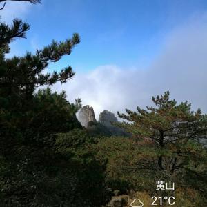 黄山hq头像