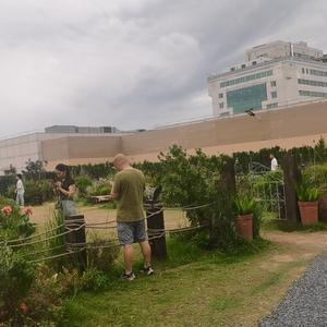 才高八斗头像