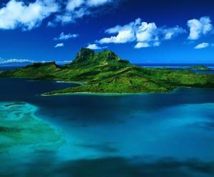 山芋海头像