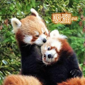 买基指南头像