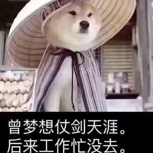 财务哲理头像