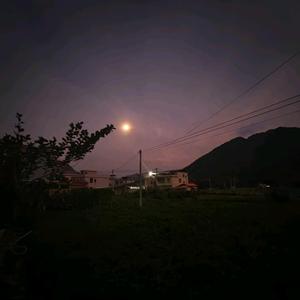 灵巧奶酪dzR头像