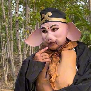 八戒伟仔头像