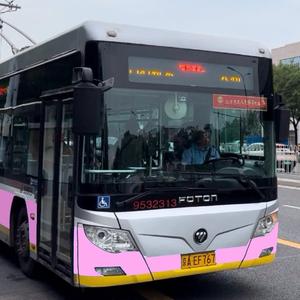 蓝猫H453（大美女超可爱）头像