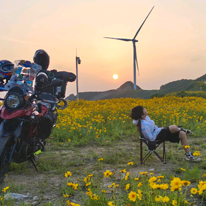 羙㬌風雲头像