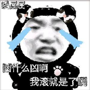 哈二叔技术好头像