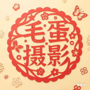 毛蛋摄影头像