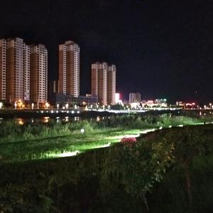 似苯非苯头像