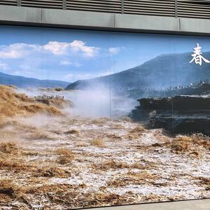 琚丝桐头像