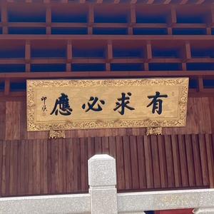 亮点头像