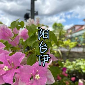 阳台伊头像