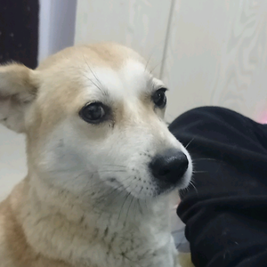 人活着就是打发无聊的时间头像