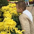 繁生园头像