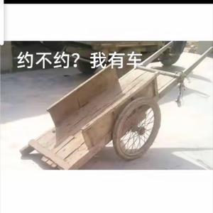 小杜头像