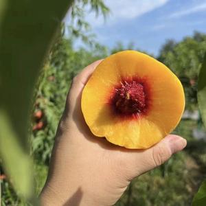 零度鲜果头像