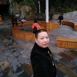 闯入城市的雄鹰头像