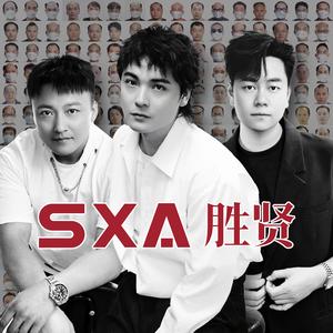 广东胜贤男士假发定制头像