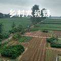乡村大视野头像