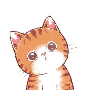 薛定谔的大橘猫头像
