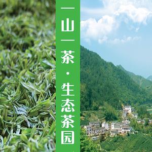 新思路茶叶头像