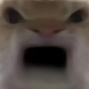 太空地铁饭猴头像