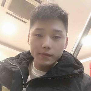王涛VLOG头像
