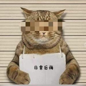 小山嘚吧嘚 头像
