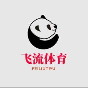 飞流体育<头像