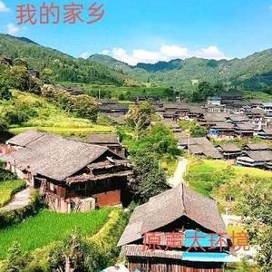 少数民族高山茶头像