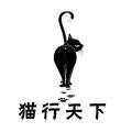 猫七行天下头像