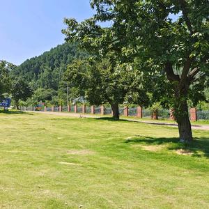 陕北乡村生活头像