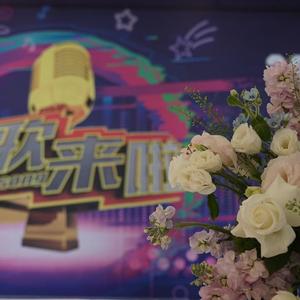 新歌来啦小助手头像